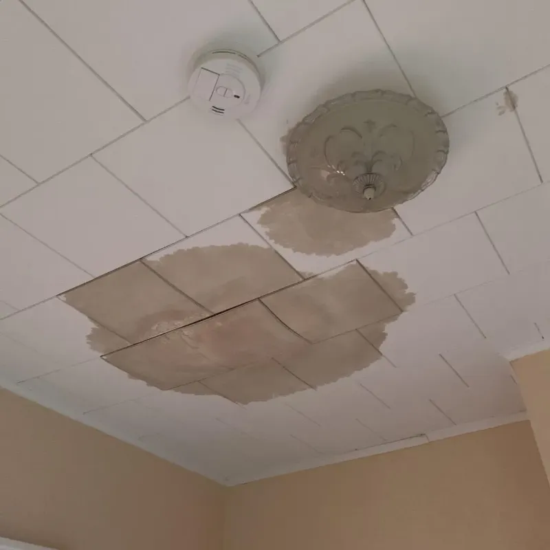 Ceiling Water Damage Repair in Franklin County, PA