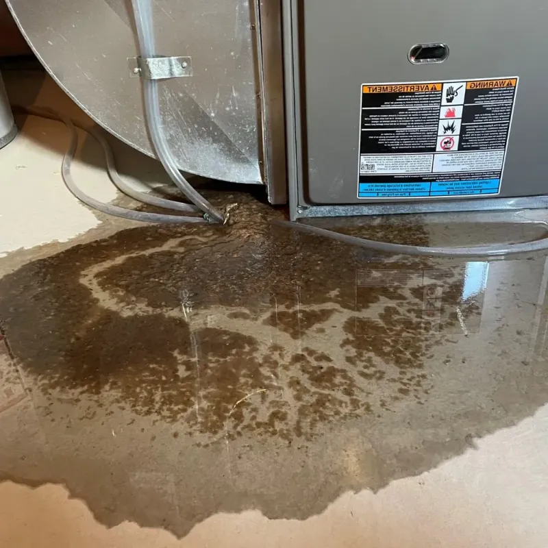 Pipe Burst and Leak Restoration in Franklin County, PA