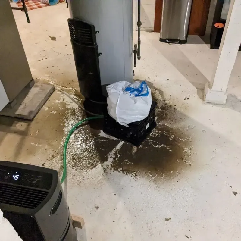 Sewage Backup Cleanup Service in Franklin County, PA